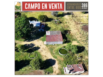 Campo Mixto en Venta. 386 Ha Hernandarias, La Paz Entre Rios