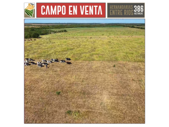 Campo Mixto en Venta. 386 Ha Hernandarias, La Paz Entre Rios