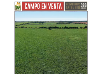 Campo Mixto en Venta. 386 Ha Hernandarias, La Paz Entre Rios
