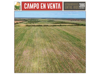 Campo Mixto en Venta. 386 Ha Hernandarias, La Paz Entre Rios