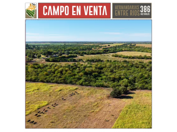 Campo Mixto en Venta. 386 Ha Hernandarias, La Paz Entre Rios
