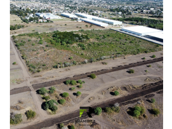 venta campo Colonia Avellaneda | 8,5 ha