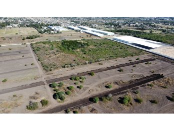 venta campo Colonia Avellaneda | 8,5 ha