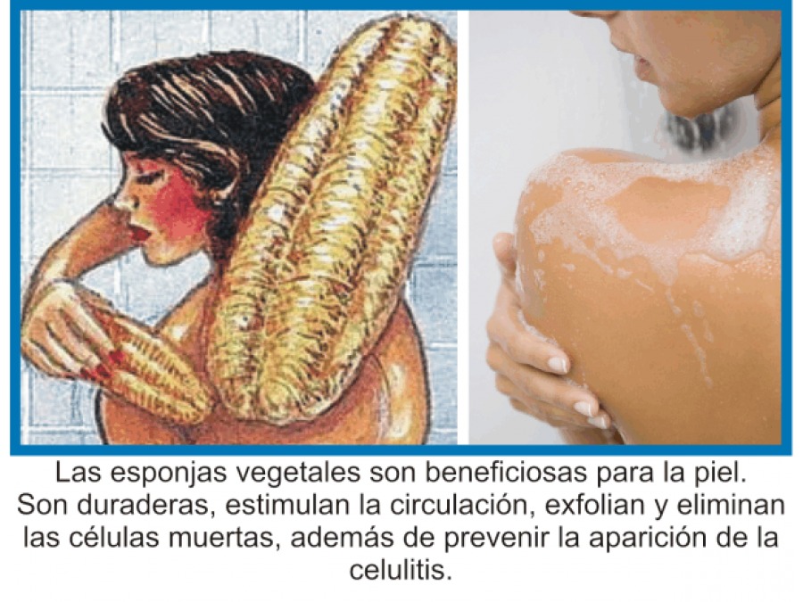 Venta de esponjas
