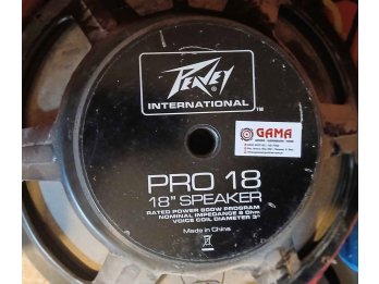 Parlantes PEAVEY 18