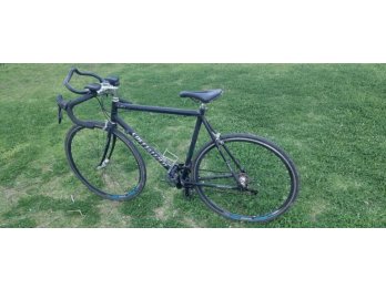 Bicicleta Fina Competicion