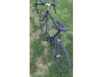 Bicicleta Fina Competicion