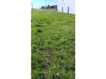 Vendo Terreno en Aldea Protestante