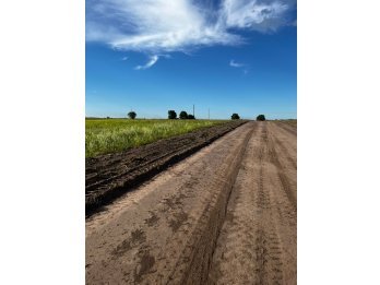 TERRENOS EN COLONIA ENSAYO, ¡URGENTE!, PRECIO &Uacute;NICO