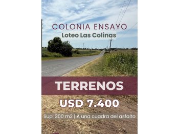 ¡URGENTE! TERRENOS EN COLONIA ENSAYO CAMINO A FIDANZA. 300M2