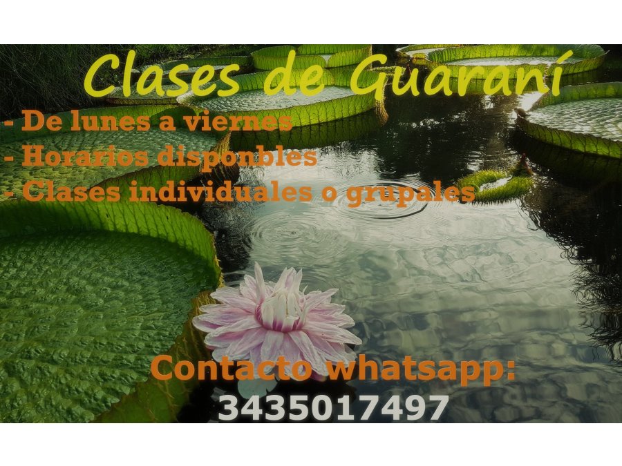 Clases de idioma Guaraní