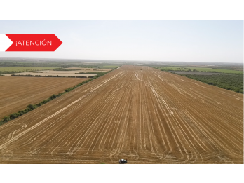 Campo Agr&iacute;cola en Zona Piedras Blancas – Entre R&iacute;os