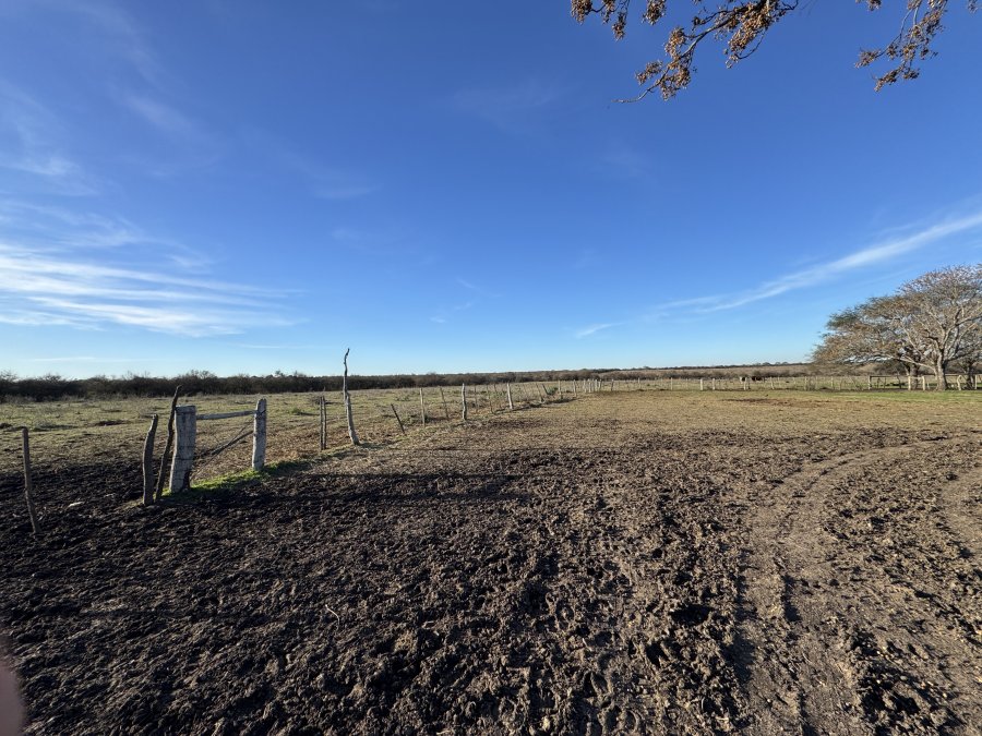 VENDO CAMPO EN MOJONES NORTE