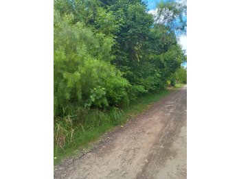 EXCELENTE TERRENO ZONA LA TOMA.