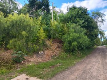 EXCELENTE TERRENO ZONA LA TOMA.