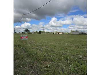 Lote en Sauce Montrull loteo Tierra Nostra a 400mt de ruta18