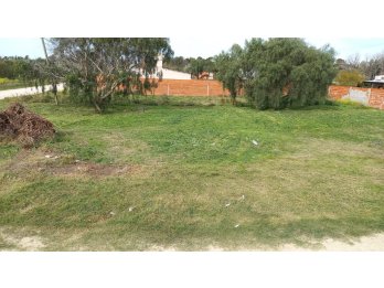 VENDO - AMPLIO TERRENO EN ESQUINA - COLONIA AVELLANEDA