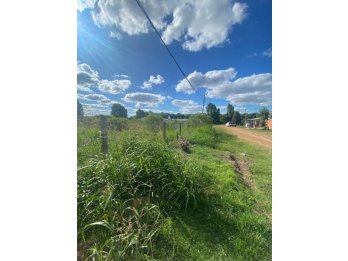 VENDO LOTE ZONA AEROCLUB - SAUCE MONTRULL