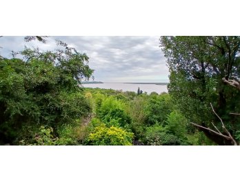 Venta de casa quienta