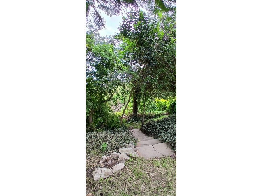 Venta de casa quienta