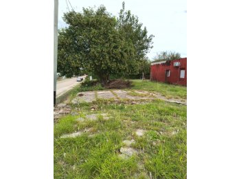 🌳 VENTA de GRAN TERRENO - CORONEL ANTELO, PUEBLO BRUGO 🌱