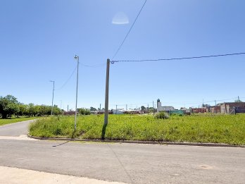 VENDO LOTES EN SAN BENITO