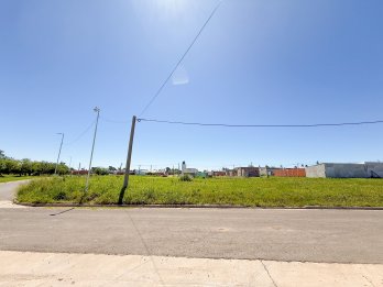 VENDO LOTES EN SAN BENITO
