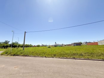 VENDO LOTES EN SAN BENITO
