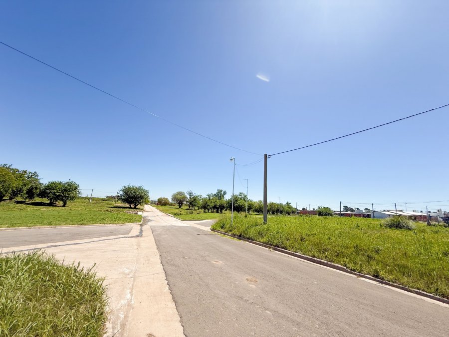 VENDO LOTES EN SAN BENITO