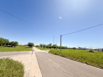 VENDO LOTES EN SAN BENITO