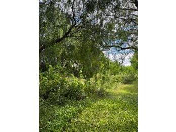 TERRENO EN VENTA OPORTUNIDAD