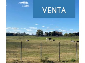 Venta casa +campo 1 ha Victoria E.R