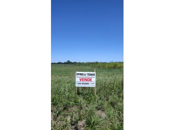 OPORTUNIDAD UNICA DE INVERSION - TERRENOS EN TEZANOS PINTO