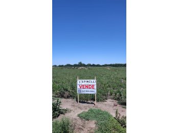 OPORTUNIDAD UNICA DE INVERSION - TERRENOS EN TEZANOS PINTO