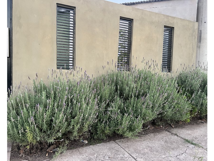 CASA EN VENTA EN COLONIA AVELLANEDA - APTA CREDITO