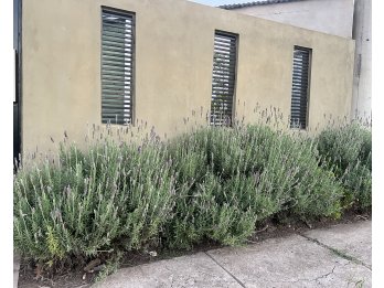 CASA EN VENTA EN COLONIA AVELLANEDA - APTA CREDITO