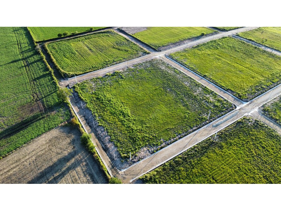 Se venden últimos terrenos a precio promocional en Oro Verde