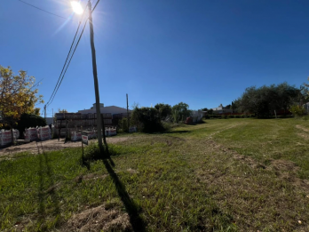 LOTE EN EL TRIANGULAR DE ORO VERDE ZORZALES ENTRE DALIAS Y P