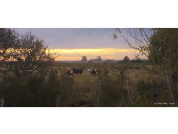 Vendo Campo