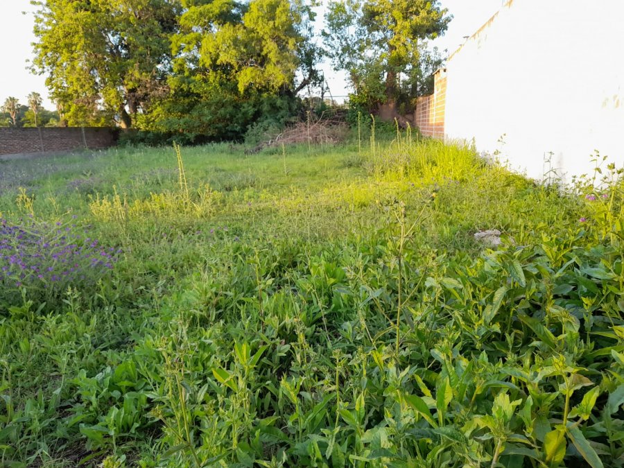 En venta terreno Lapachos uno !