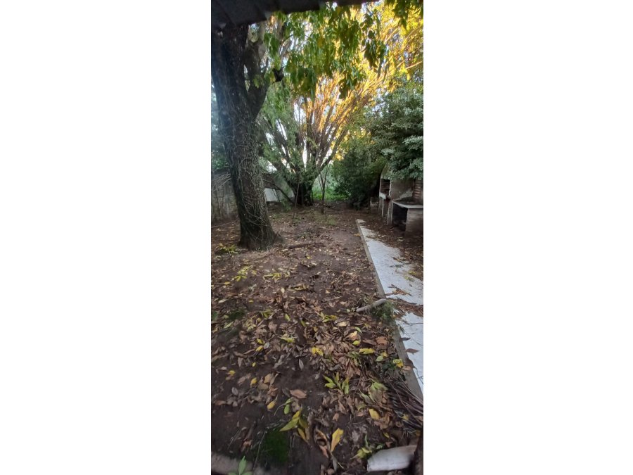 CASA A RECICLAR CON GRAN TERRENO AV MONTIEL