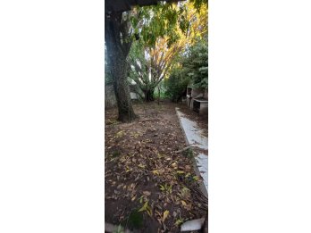 CASA A RECICLAR CON GRAN TERRENO AV MONTIEL
