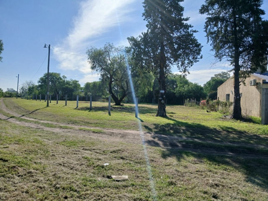 LOTE EN VENTA EN SAUCE MONTRULL – 677 m² | GRAN OPORTUNIDAD