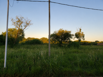🌿 **¡OPORTUNIDAD DE INVERSIÓN! – 2 TERRENOS EN LOS LAPACHOS