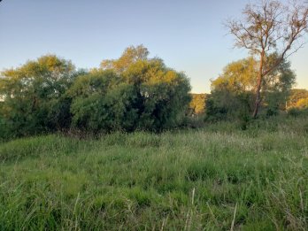 🌿 **¡OPORTUNIDAD DE INVERSIÓN! – 2 TERRENOS EN LOS LAPACHOS