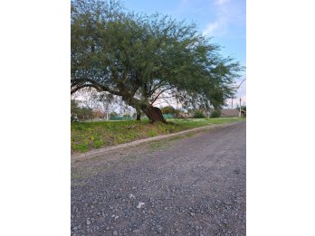Lote en esquina Oro Verde + Propuesta de vivienda
