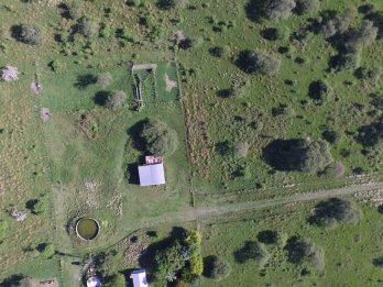 CAMPO GANADERO EN VENTA  - 118 HAS - BOVRIL, DPTO LA PAZ