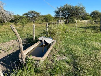 CAMPO GANADERO EN VENTA  - 118 HAS - BOVRIL, DPTO LA PAZ