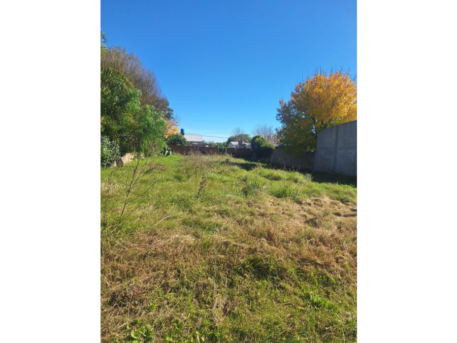VENDO TERRENO EN SAN BENITO