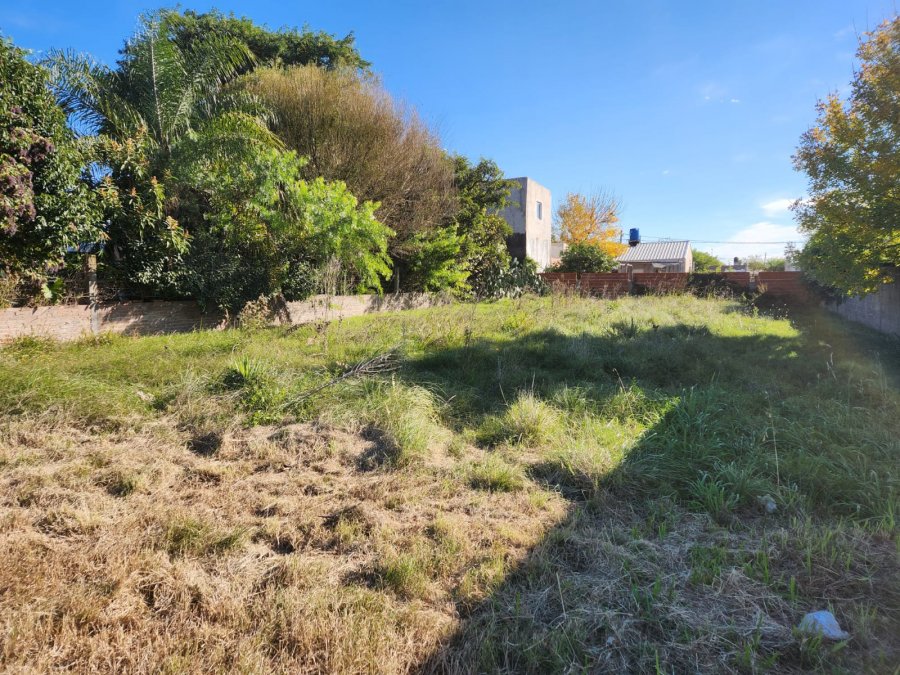 VENDO TERRENO EN SAN BENITO